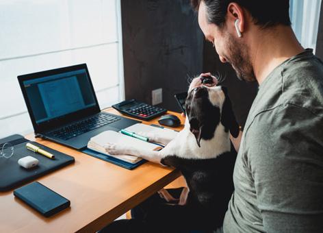 Man at home office desk with a dog in his lap