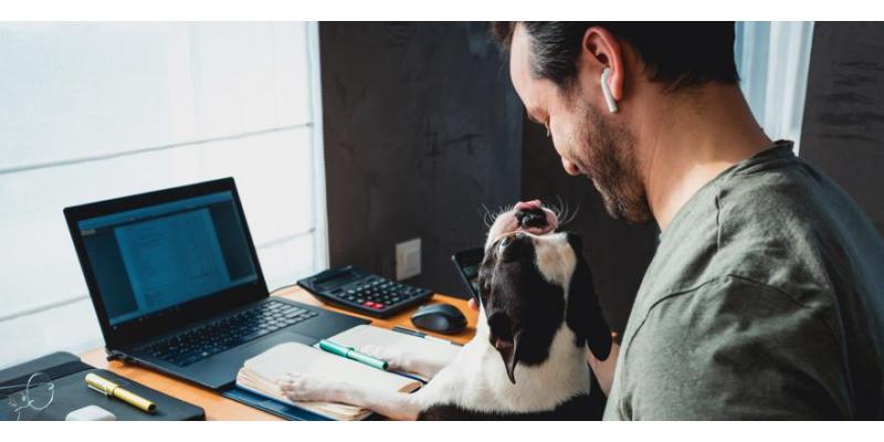 Man at home office desk with a dog in his lap