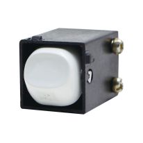 4C | Switch Mechanism Double Pole 250V 35A