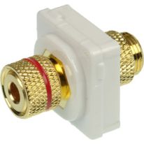 Banana Plug to Binding Post RED (White Bezel)