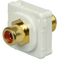 RCA Female to F TYPE Female RED (White Bezel)