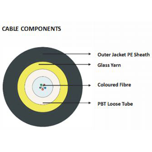 Loose Tube Cross Section